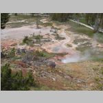 R0020505_Yellowstone.jpg